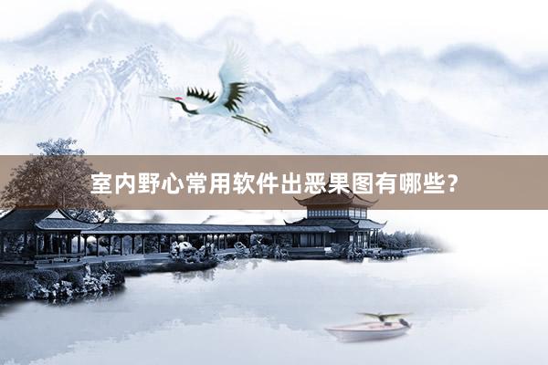 室内野心常用软件出恶果图有哪些？
