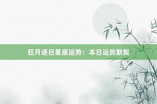 狂月逐日星座运势：本日运势默契