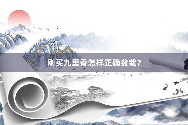 刚买九里香怎样正确盆栽？