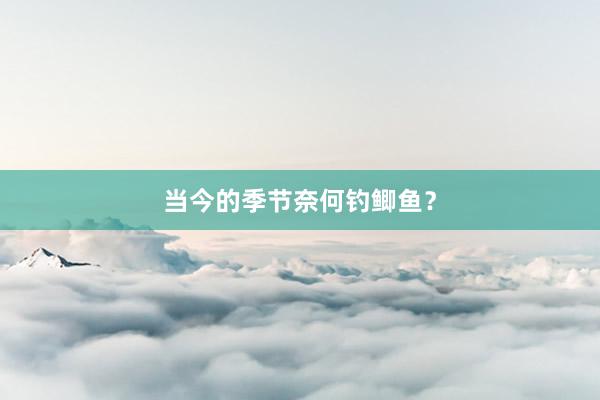 当今的季节奈何钓鲫鱼？