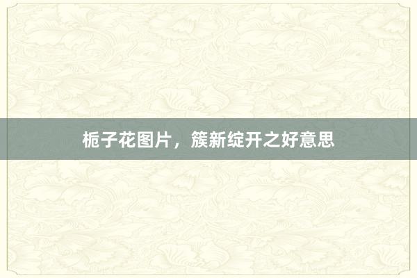 栀子花图片，簇新绽开之好意思